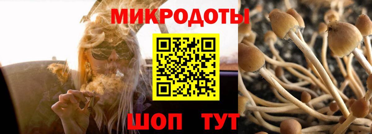 Нальчик  Галлюциногенные грибы Cubensis  Псилоцибиновые грибы Psilocybine cubensis  Вход с VPN 